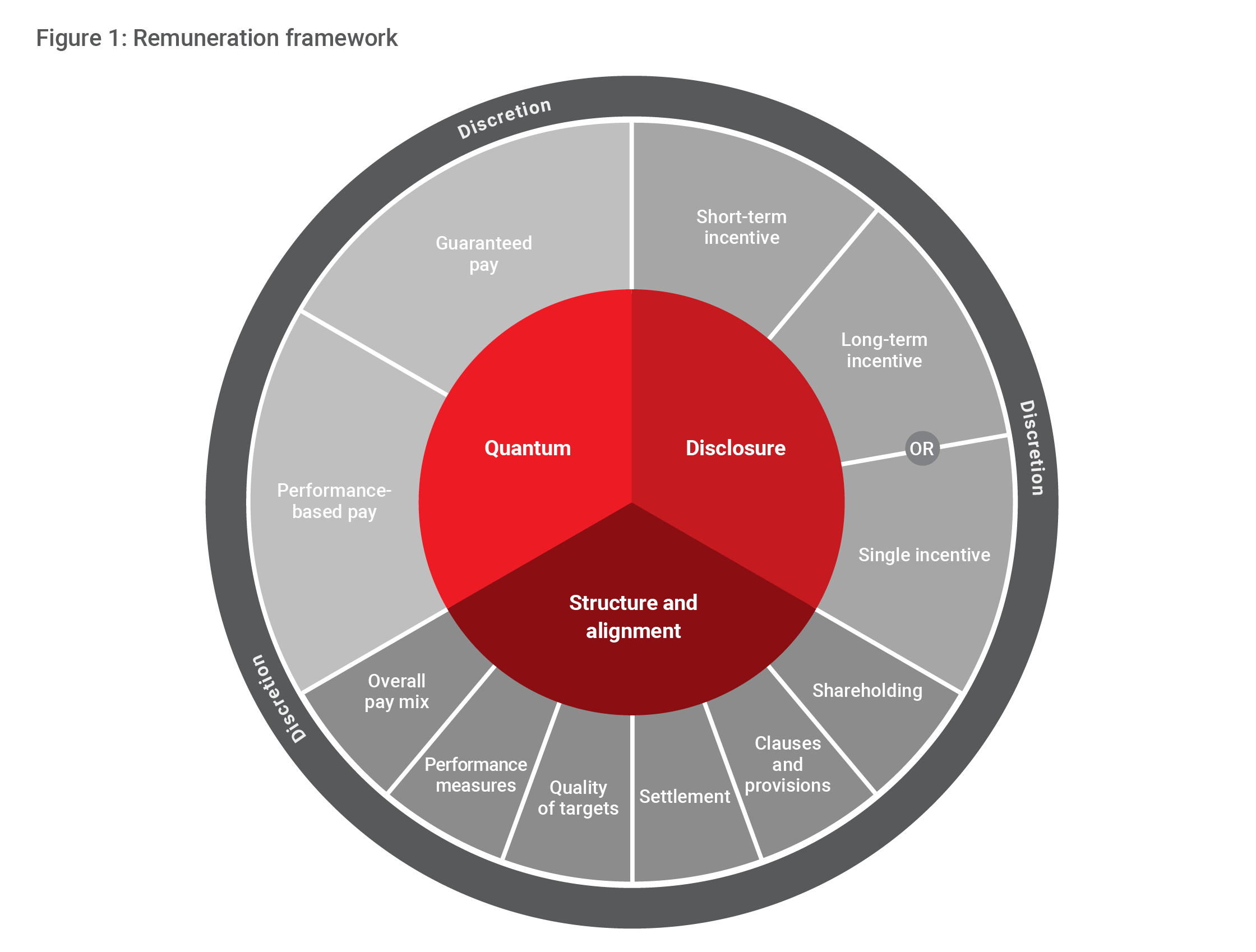 Figure 1_Remuneration framework.png