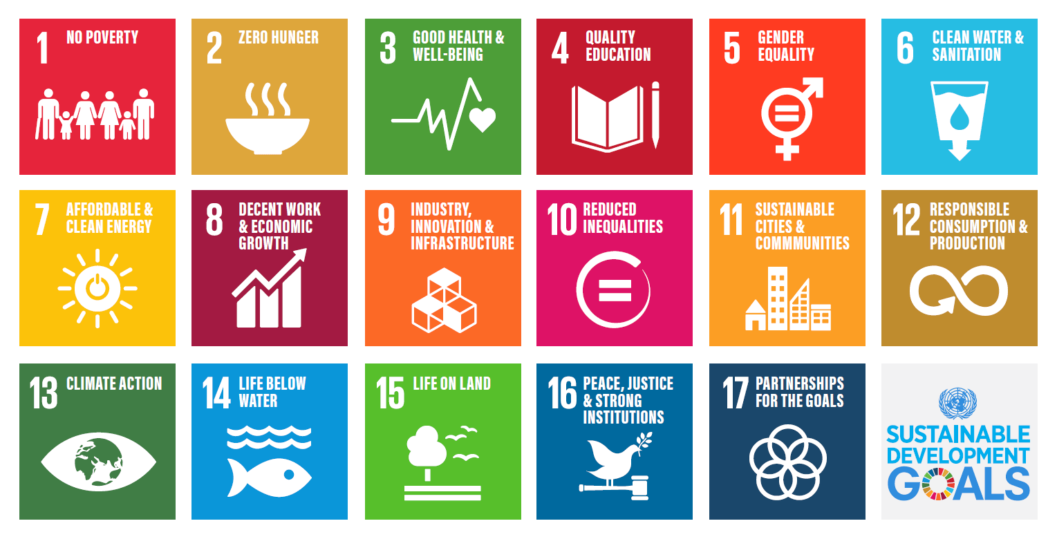 17 SDGs.png
