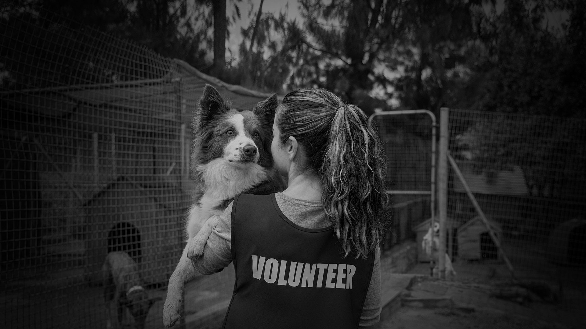 Person volunteering at a shelter holding a dog