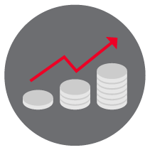 Allan Gray - Investment growth